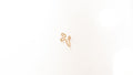 Piercing Trend No Hole False Lip Ring Lip Nail Lip Clip False Nose