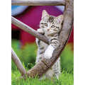 Ravensburger - puzzle - 2 x 500 pieces-0