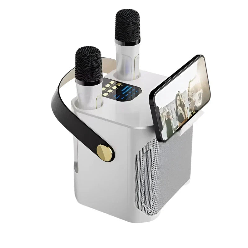 High Power Karaoke Bluetooth Speaker with Dual Microphone