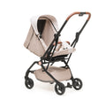 Bear Cub passeggino 360°